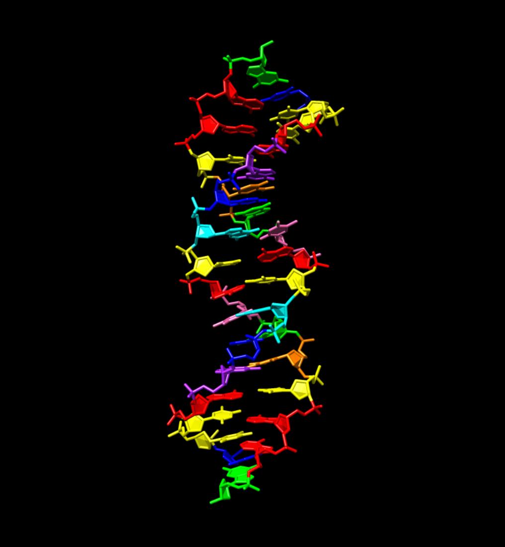 Search for alien life on exoplanets includes understanding potentially different types of DNA. A synthetic version strand is seen here.