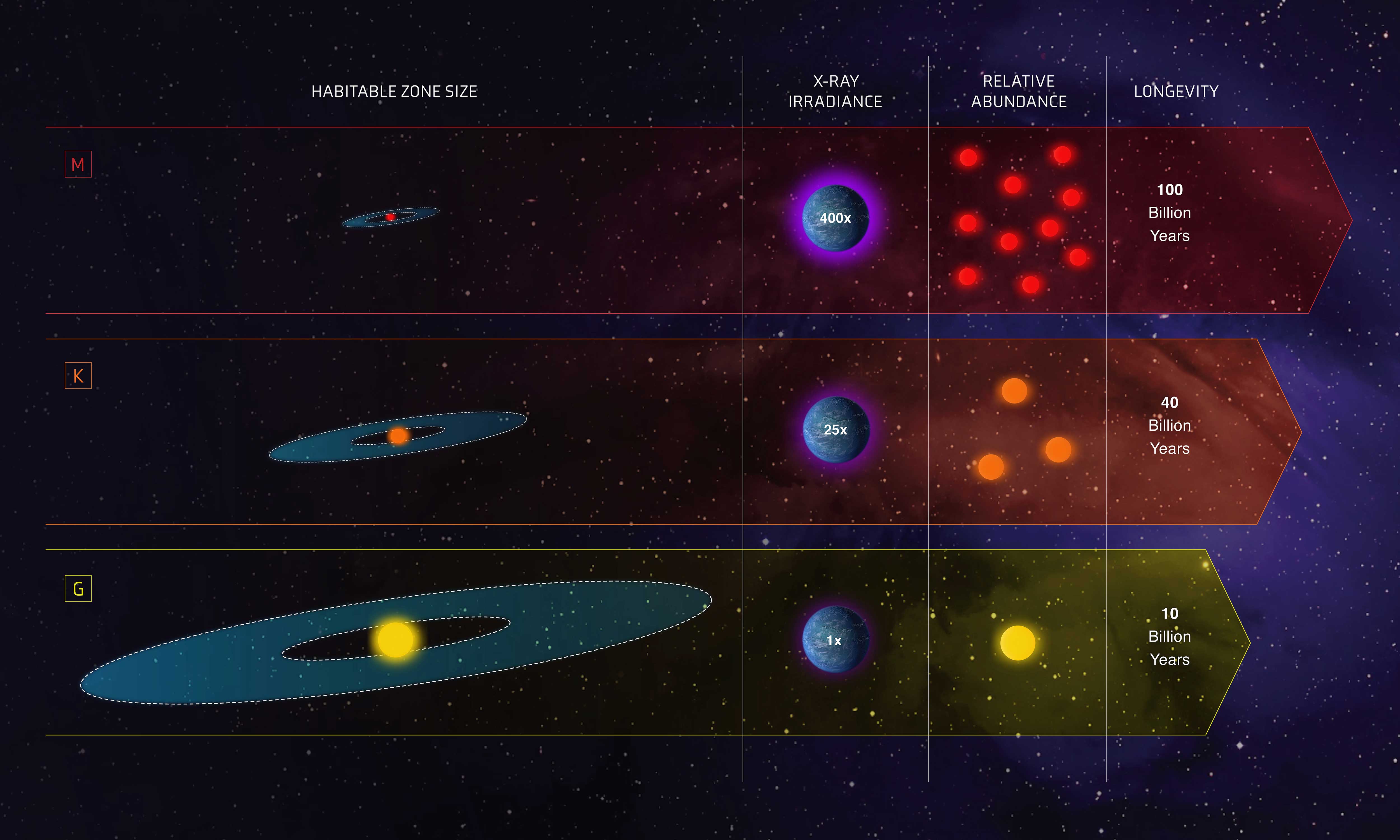 An infographic showing the habitable zones around three different star types. It's a small region close to M-type stars, the most prevalent in our galaxy. It's a bigger zone around K-type stars and the biggest habitable zone is around G-type stars, like our sun, but the star's life is 10 billion years, compared with 100 billion years for the prevalent M dwarfs.