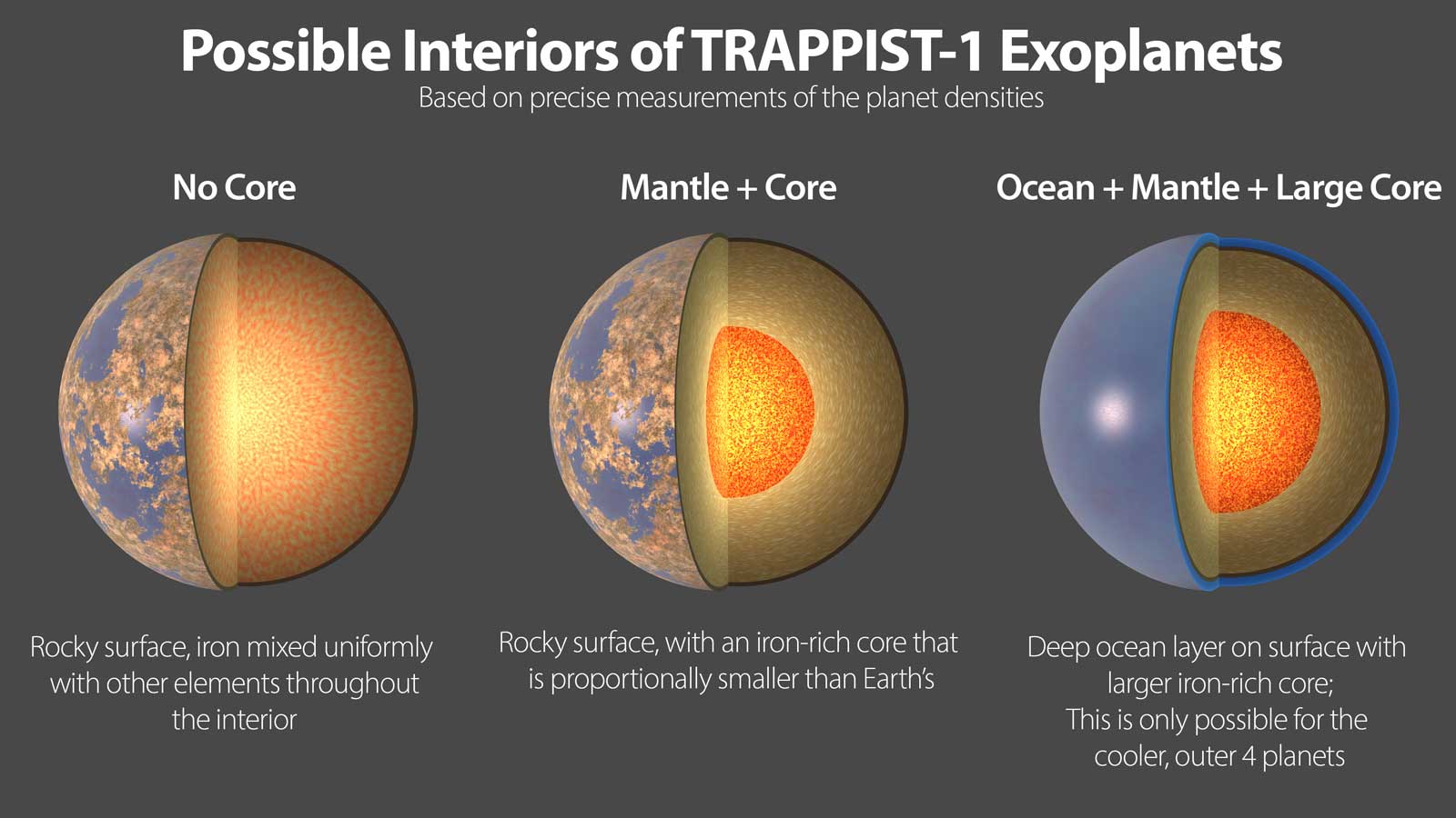 Possible interiors of TRAPPIST-1 planets