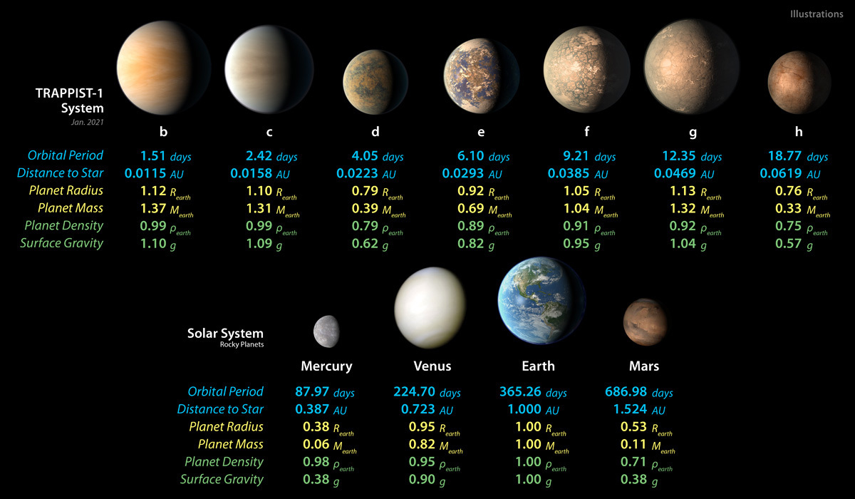Detailed measurements of TRAPPIST-1 planets