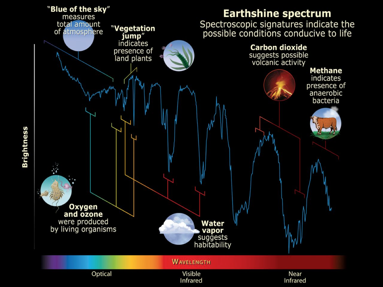 HabexSpectrum