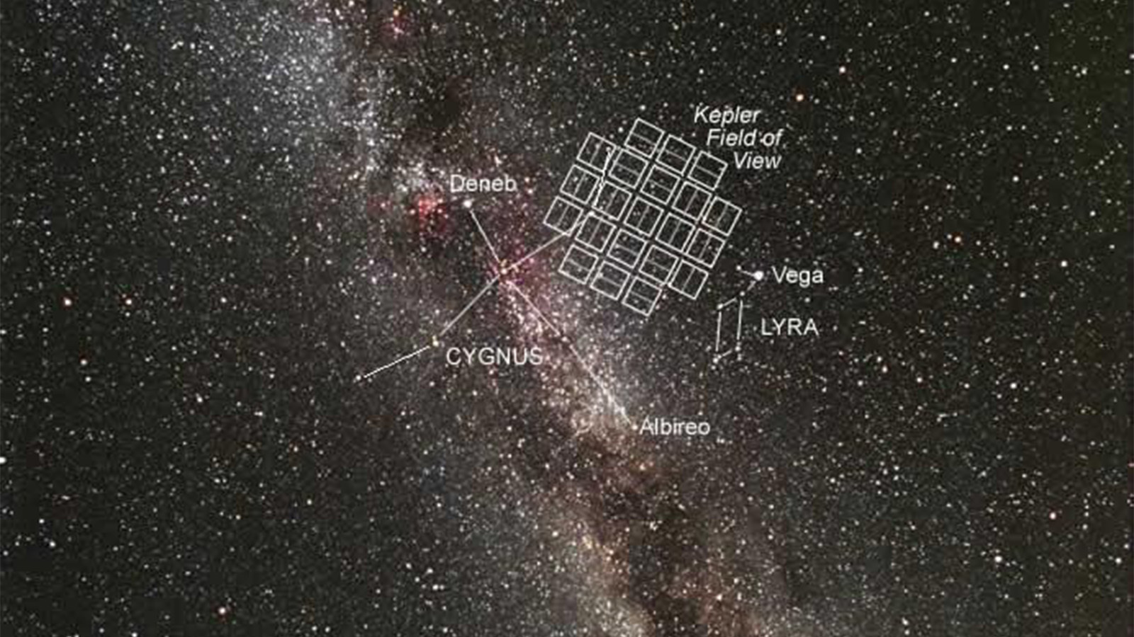 Kepler Cygnus starfield