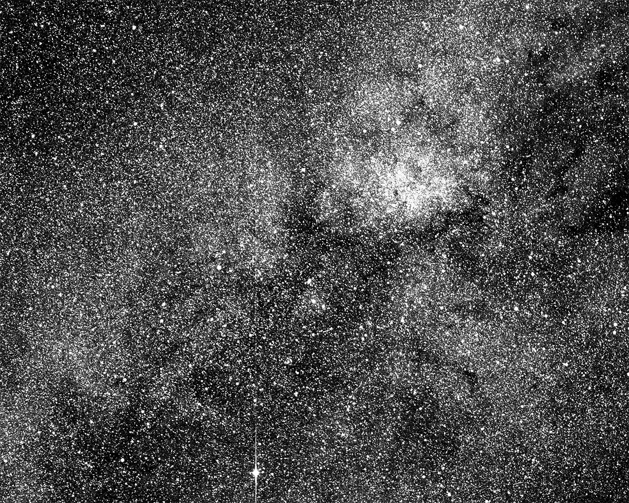 Black and white image taken by TESS
