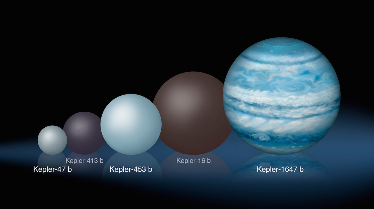Comparison of the relative sizes of several Kepler circumbinary planets. Kepler-1647 b is substantially larger than any of the previously known circumbinary planets.

Image credit: Lynette Cook