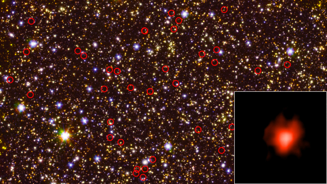 Galaxies are seen circled.