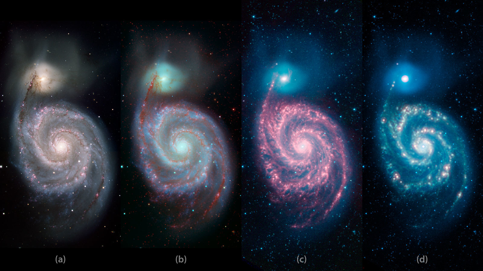 Series of four images showing a whirlpool-shaped galaxy in various wavelengths of light.