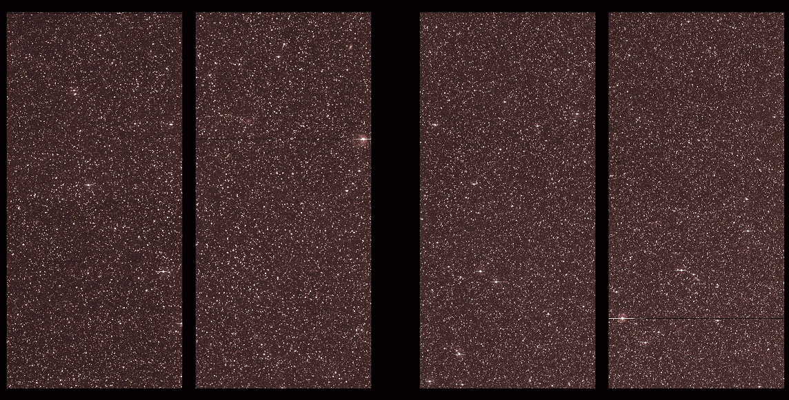 Kepler first light image: 2 CCD modules 